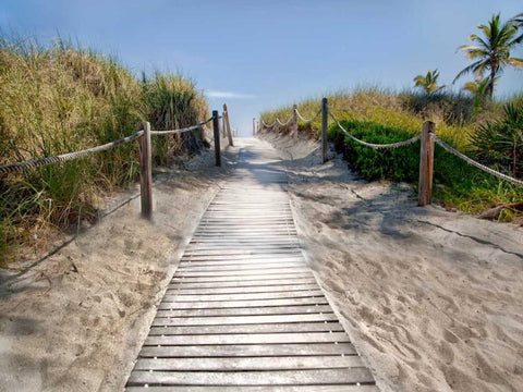 Scene Along the Water IV White Modern Wood Framed Art Print with Double Matting by Miamee, Golie