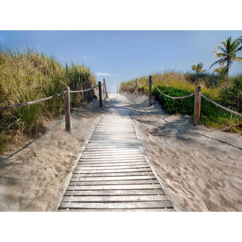 Scene Along the Water IV Black Modern Wood Framed Art Print with Double Matting by Miamee, Golie