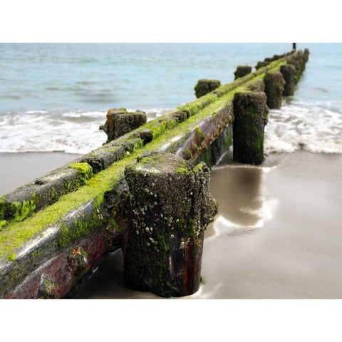 Scene Along the Water V Black Modern Wood Framed Art Print by Miamee, Golie