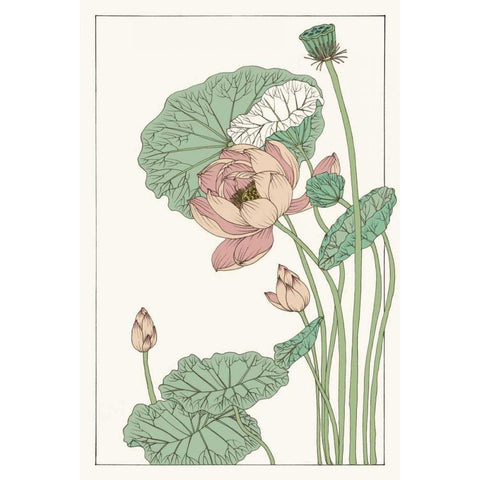 Botanical Gloriosa Lotus II Gold Ornate Wood Framed Art Print with Double Matting by Wang, Melissa