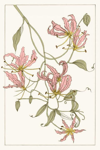 Botanical Gloriosa Lily II White Modern Wood Framed Art Print with Double Matting by Wang, Melissa