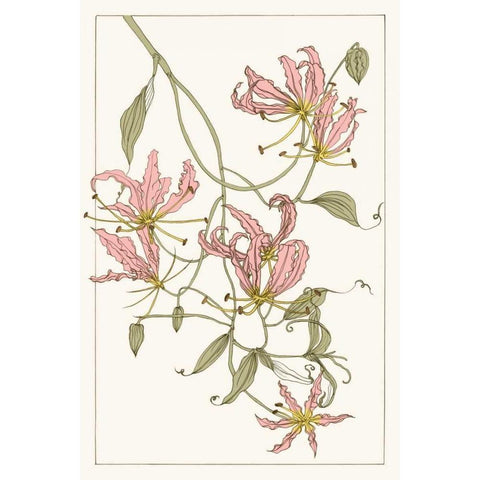 Botanical Gloriosa Lily II Gold Ornate Wood Framed Art Print with Double Matting by Wang, Melissa