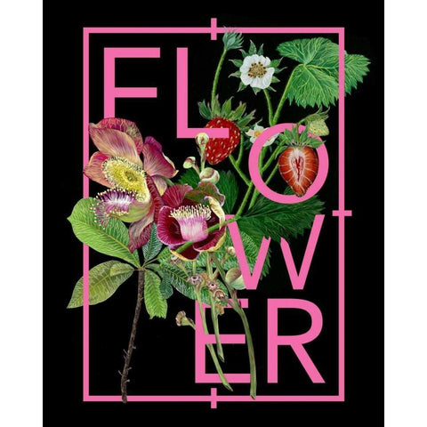 Floral Inspiration I Black Modern Wood Framed Art Print with Double Matting by Wang, Melissa