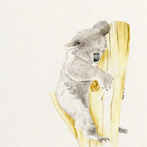Baby Koala I Black Modern Wood Framed Art Print with Double Matting by Wang, Melissa