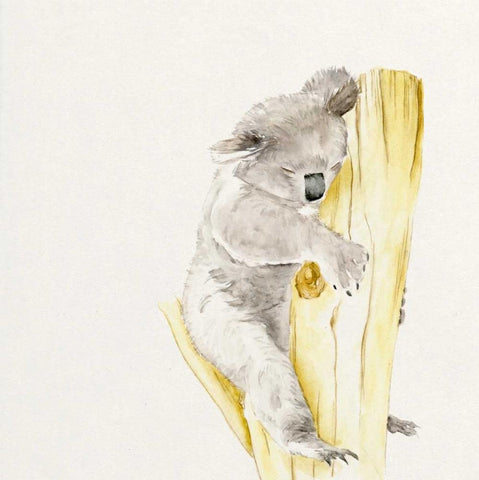 Baby Koala I Black Ornate Wood Framed Art Print with Double Matting by Wang, Melissa