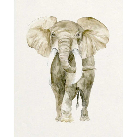 Baby Elephant I Black Modern Wood Framed Art Print with Double Matting by Wang, Melissa