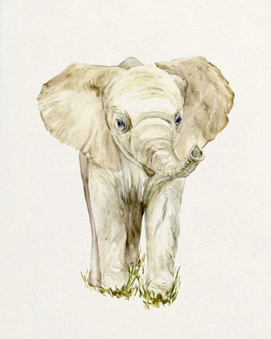 Baby Elephant II White Modern Wood Framed Art Print with Double Matting by Wang, Melissa