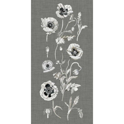 Poppy Array II Black Modern Wood Framed Art Print with Double Matting by McCavitt, Naomi