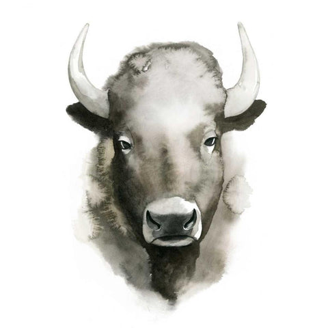 Watercolor Buffalo White Modern Wood Framed Art Print by Popp, Grace