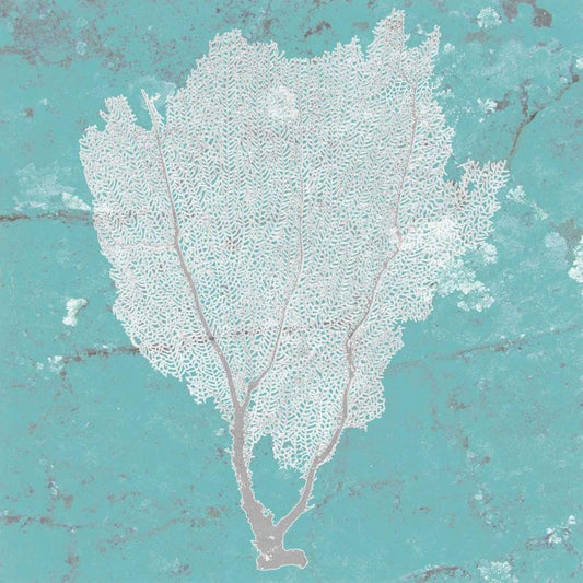 Image Only
