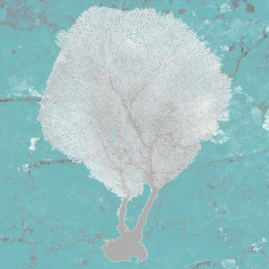 Image Only