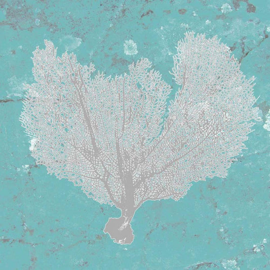 Image Only