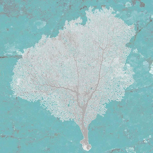 Image Only