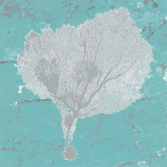Image Only