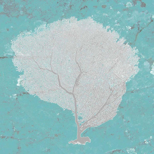 Image Only