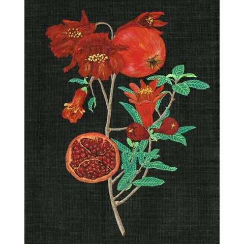 Pomegranate Study I Gold Ornate Wood Framed Art Print with Double Matting by Wang, Melissa