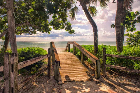 Beach Access  Black Ornate Wood Framed Art Print with Double Matting by Head, Danny