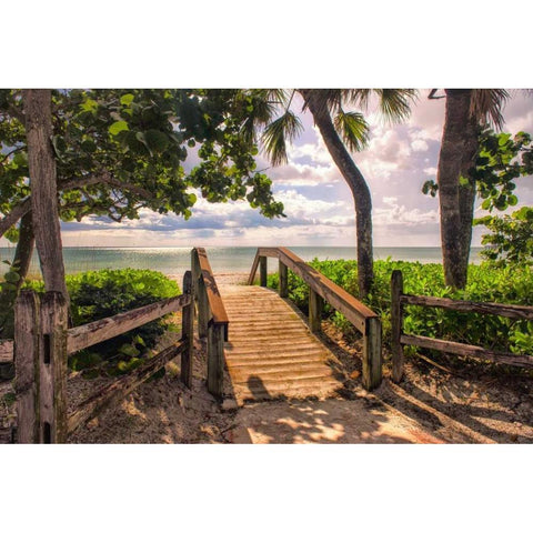 Beach Access  Black Modern Wood Framed Art Print by Head, Danny