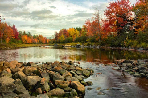 Northeast Creek White Modern Wood Framed Art Print with Double Matting by Head, Danny