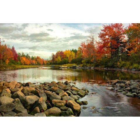 Northeast Creek Black Modern Wood Framed Art Print by Head, Danny