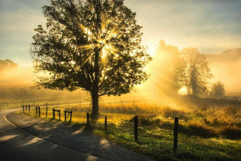 Wake Up Call White Modern Wood Framed Art Print with Double Matting by Head, Danny