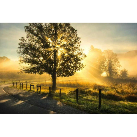 Wake Up Call Black Modern Wood Framed Art Print by Head, Danny