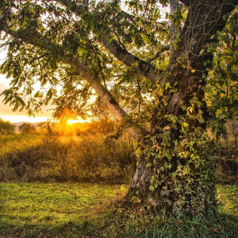 Calling It a Day White Modern Wood Framed Art Print by Head, Danny