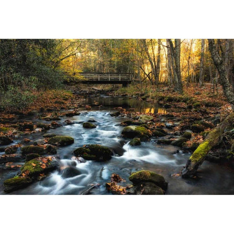 Warm Sky Light Black Modern Wood Framed Art Print by Head, Danny