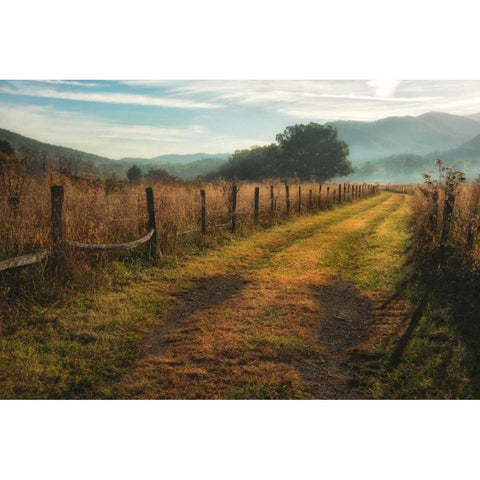 Grassy Lane Black Modern Wood Framed Art Print with Double Matting by Head, Danny