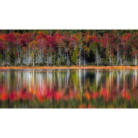 Autumn Reflections Black Modern Wood Framed Art Print with Double Matting by Head, Danny