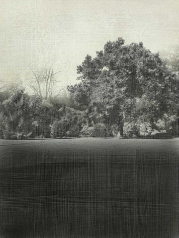 Morning View II White Modern Wood Framed Art Print with Double Matting by Zarris, Chariklia