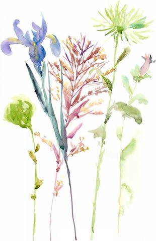 Watercolor Floral Study III White Modern Wood Framed Art Print with Double Matting by Wang, Melissa