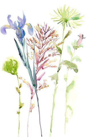 Watercolor Floral Study III White Modern Wood Framed Art Print with Double Matting by Wang, Melissa