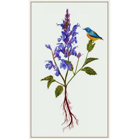 Salvia Miltiorrhiza I Gold Ornate Wood Framed Art Print with Double Matting by Wang, Melissa