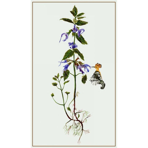 Salvia Miltiorrhiza II Black Modern Wood Framed Art Print with Double Matting by Wang, Melissa