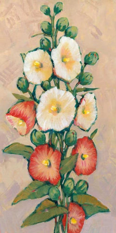 Red Hollyhocks I White Modern Wood Framed Art Print with Double Matting by OToole, Tim
