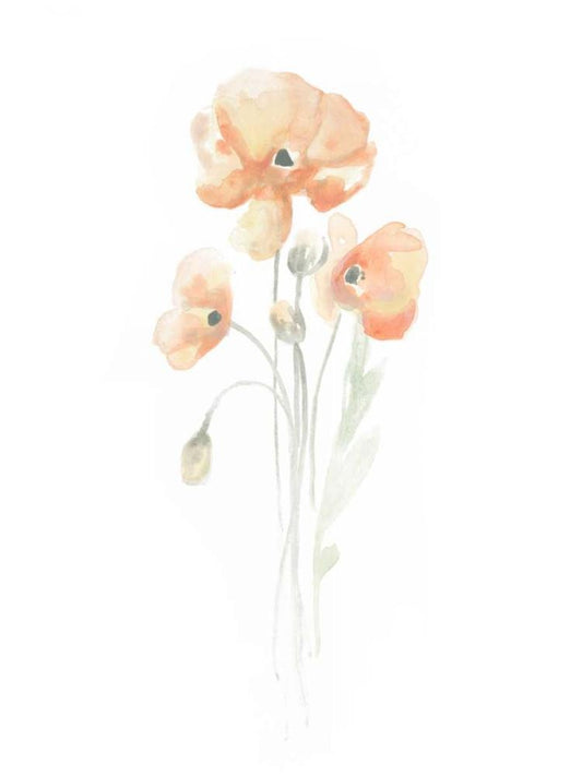 Image Only