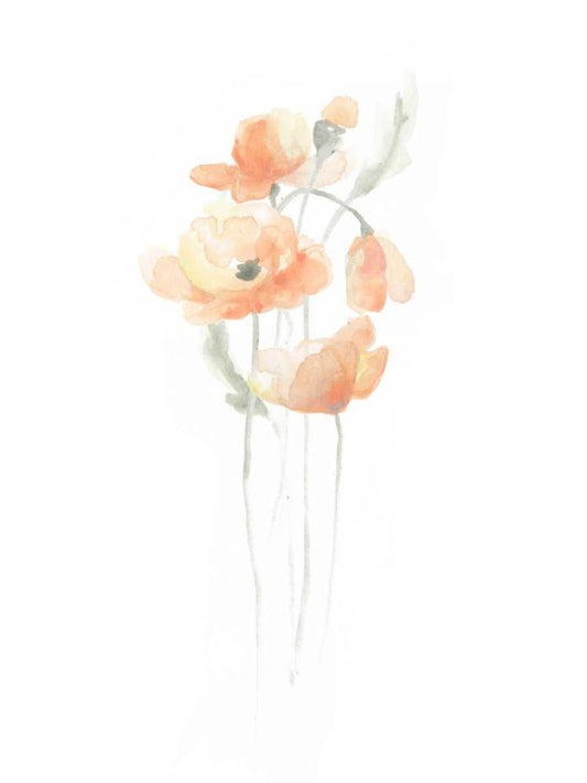 Image Only