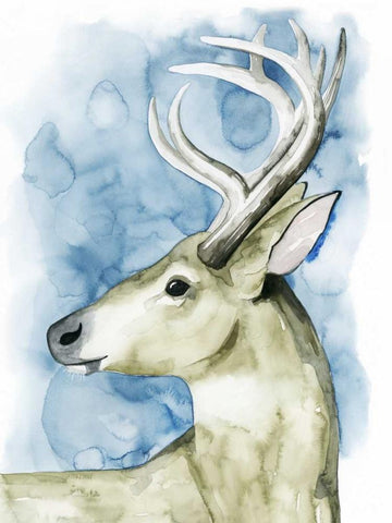 Wandering Stag I White Modern Wood Framed Art Print with Double Matting by Popp, Grace