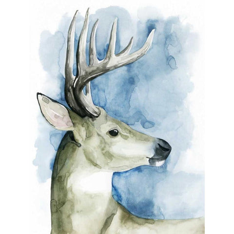 Wandering Stag II Gold Ornate Wood Framed Art Print with Double Matting by Popp, Grace