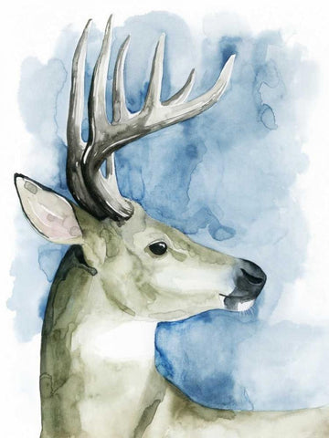 Wandering Stag II White Modern Wood Framed Art Print with Double Matting by Popp, Grace