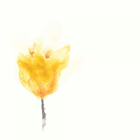 Expressive Blooms VIII White Modern Wood Framed Art Print with Double Matting by Vess, June Erica