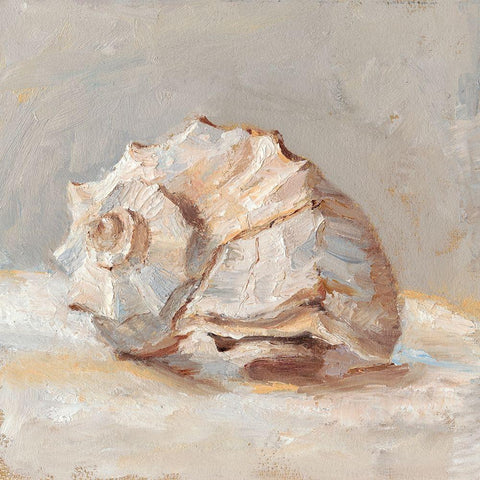 Impressionist Shell Study II Black Modern Wood Framed Art Print by Harper, Ethan