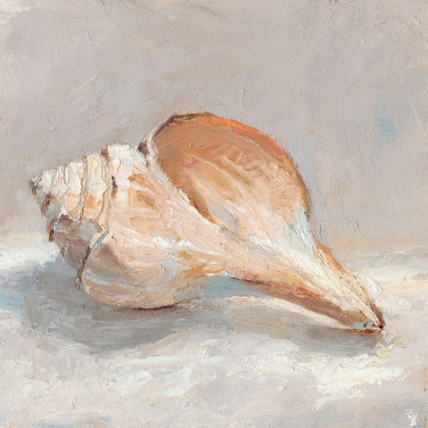 Impressionist Shell Study III Black Ornate Wood Framed Art Print with Double Matting by Harper, Ethan