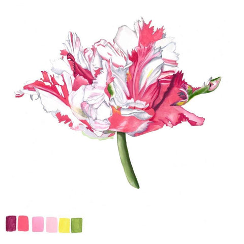 Brighton Blooms V White Modern Wood Framed Art Print with Double Matting by McCavitt, Naomi