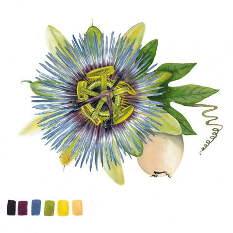 Brighton Blooms VI Black Modern Wood Framed Art Print by McCavitt, Naomi