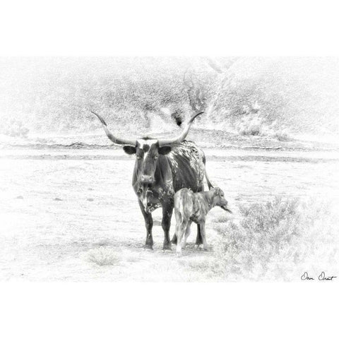 Longhorn and Baby Black Modern Wood Framed Art Print by Drost, David