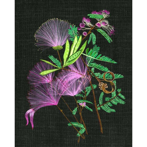 Calliandra Surinamensis II Black Modern Wood Framed Art Print with Double Matting by Wang, Melissa