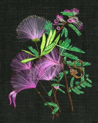 Calliandra Surinamensis II White Modern Wood Framed Art Print with Double Matting by Wang, Melissa