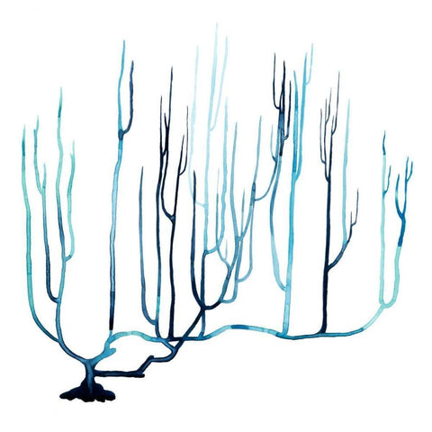 Fan de la Mer IV Black Ornate Wood Framed Art Print with Double Matting by Popp, Grace